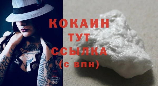 спиды Абаза