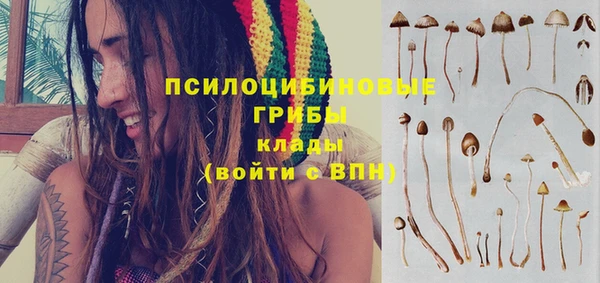 спиды Абаза
