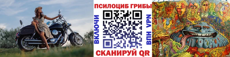 Галлюциногенные грибы Psilocybine cubensis Кумертау
